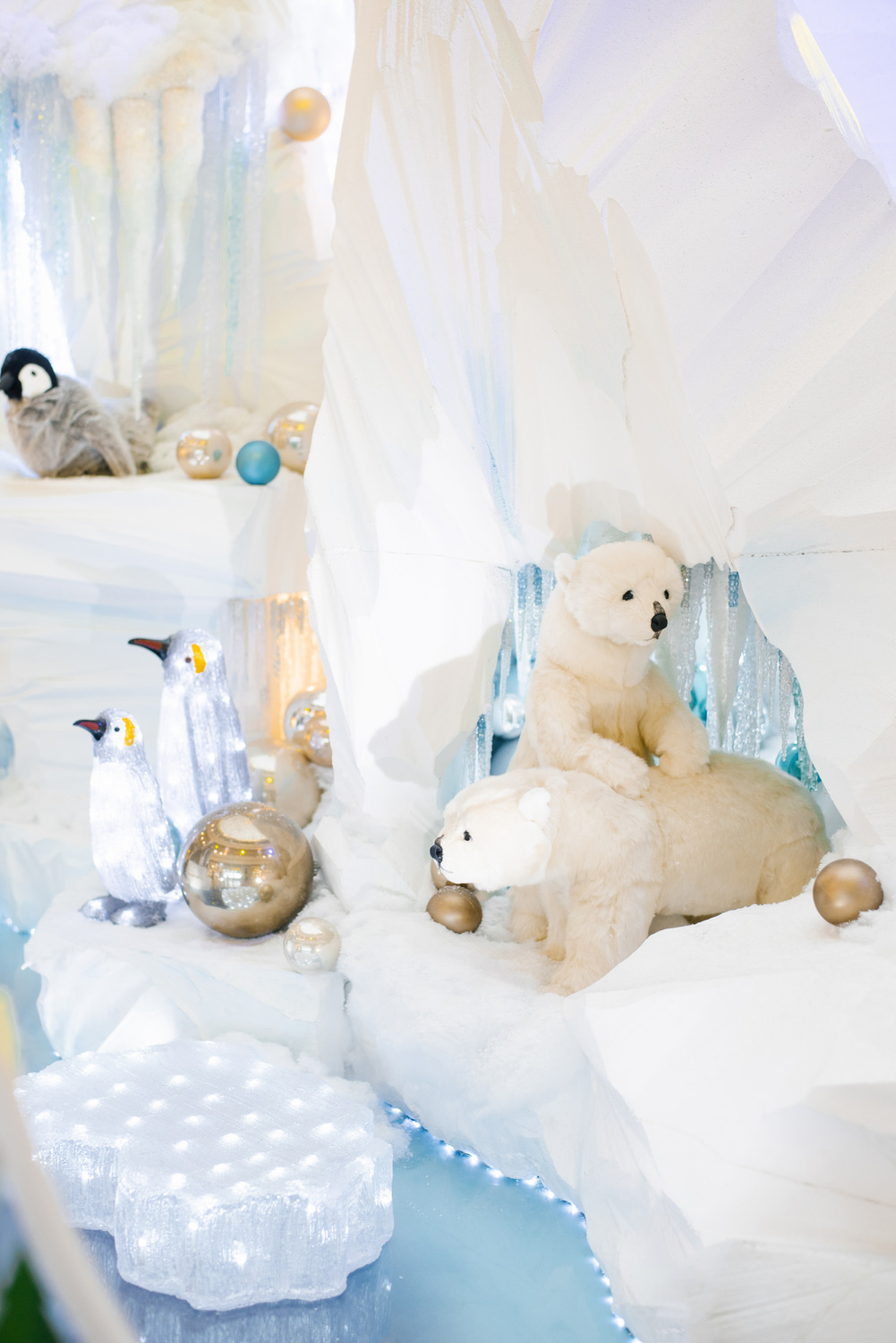 Eisbär